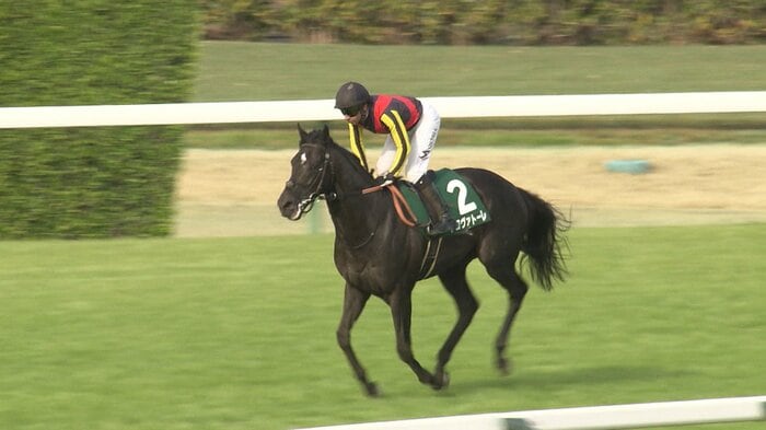 ダービー卿CT・GⅢで重賞初制覇を飾ったトロヴァトーレ