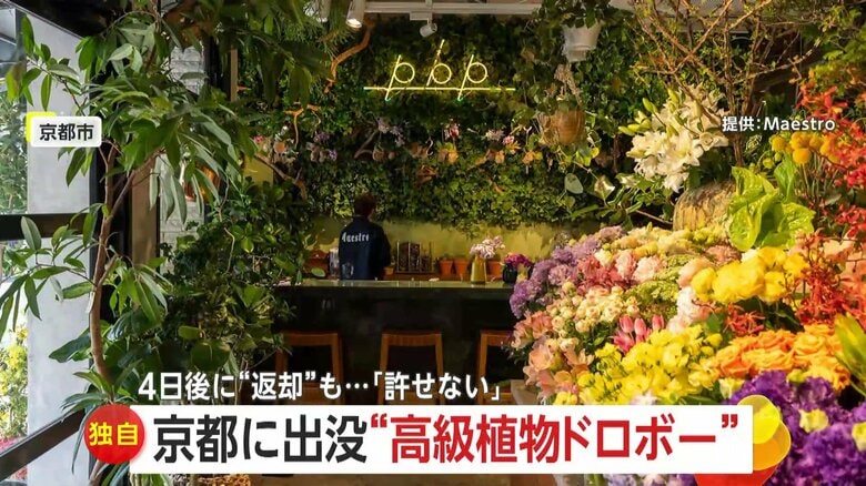 「盗んだ事実は事実、罪を償って」生花店から20万円相当の大きな鉢植え盗むドロボー…4日後に“こっそり”返却のワケ　京都市｜FNNプライムオンライン