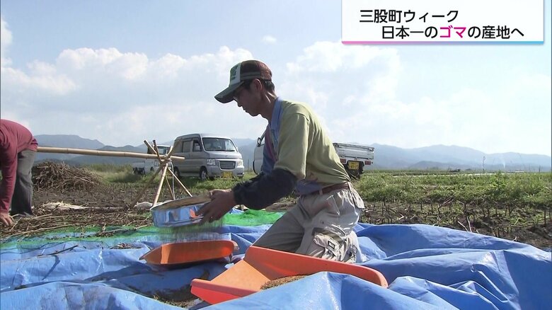 日本一のゴマの産地を目指して…“国内自給率0.1%”といわれているゴマの生産拡大に取り組む農家の挑戦【宮崎発】｜FNNプライムオンライン