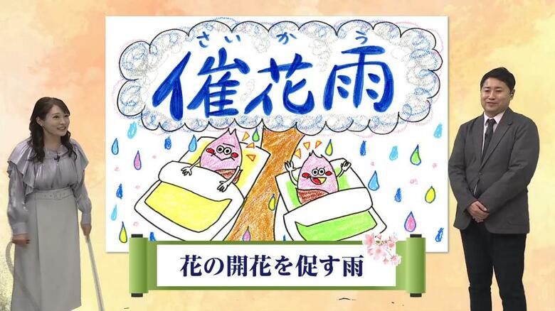 サクラを呼ぶ恵みの雨「催花雨」をご存じですか？古山予報士が教える宮崎の開花予想と、春を待つつぼみの現在地｜FNNプライムオンライン