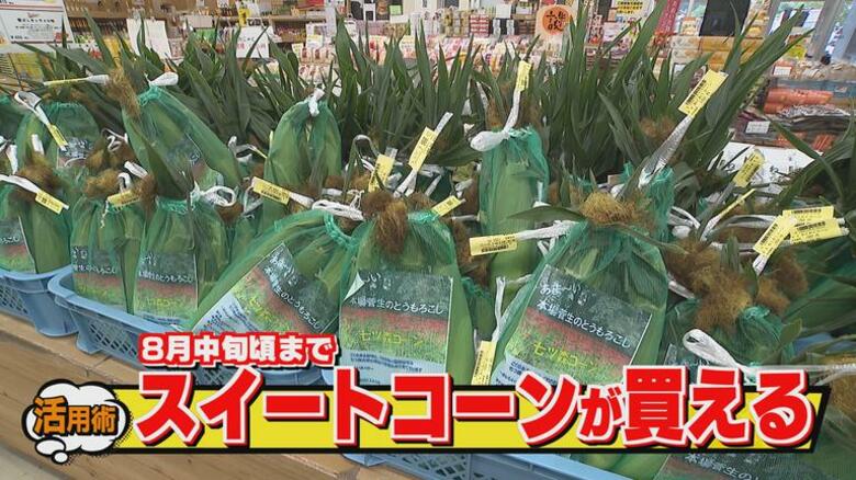 今が旬　甘くて身がぷりぷりのスイートコーンなどトウモロコシ商品が豊富「道の駅すごう」　大分県竹田｜FNNプライムオンライン
