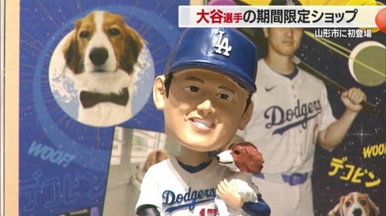 大谷翔平選手のグッズ集めた期間限定ショップがオープン！サイン入りキャップや実際に投げたボールなど激レア商品も【山形発】｜FNNプライムオンライン