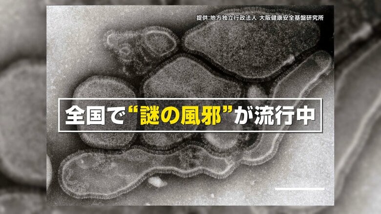 【専門家解説】「せきが止まらない、長引く」“謎の風邪”の正体!?ヒトメタニューモウイルスとは?|FNNプライムオンライン