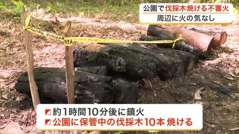 仙台市内の公園で不審火　保管の伐採木１０本焼ける　周辺に火の気なし＜宮城＞　｜FNNプライムオンライン