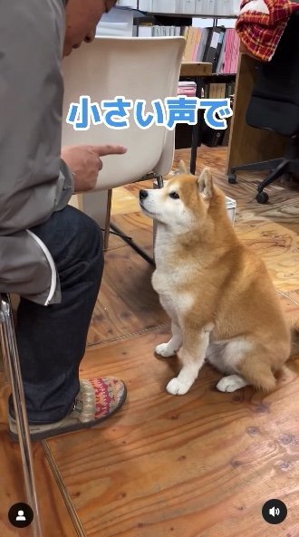 提供：エイトデザイン