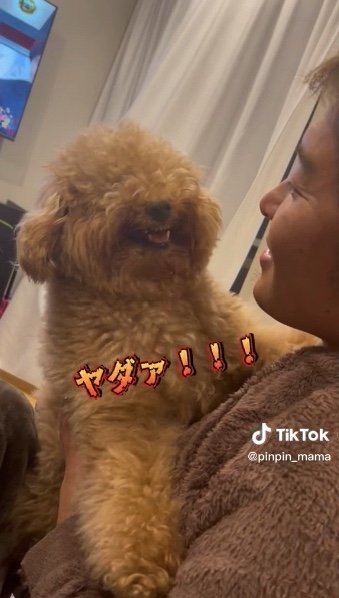 提供：ピン太郎ママさん