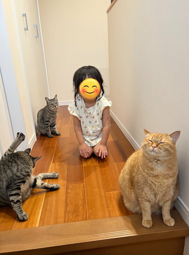 提供：すずつむふうさん