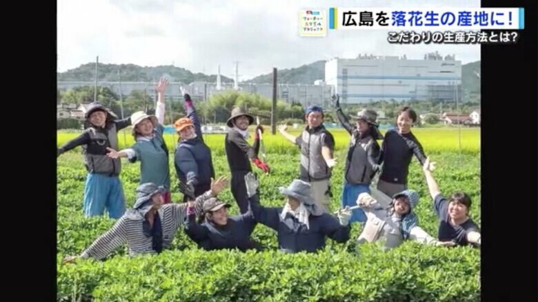 落花生栽培のノウハウを地域で共有