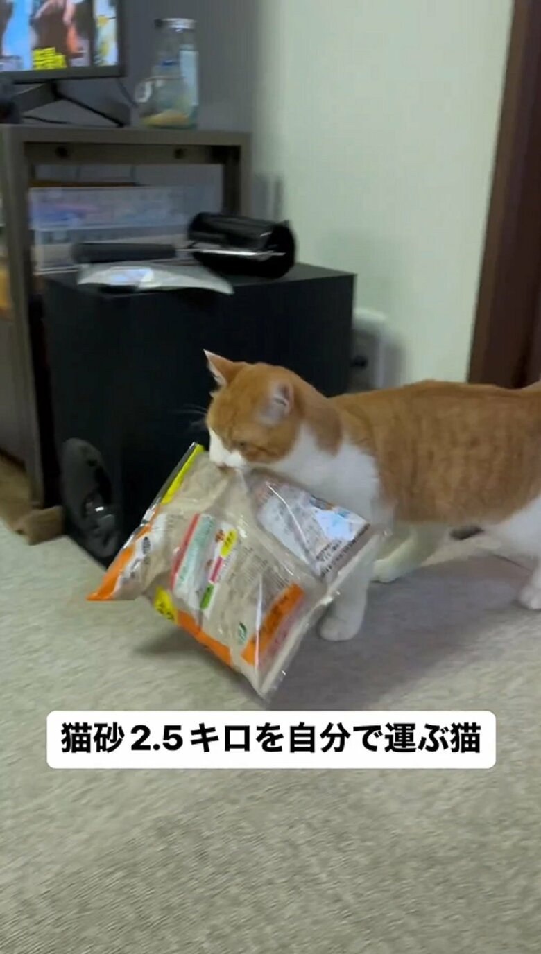 引きずらずに持ち上げている