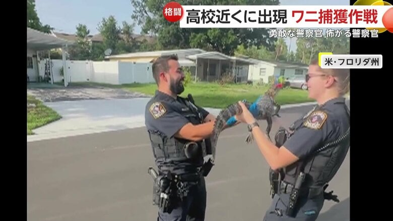 恐る恐る、ワニを持ってみる男性警察官