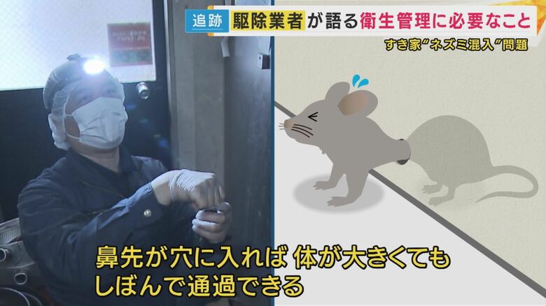 「人の指1本入る穴があれば」ネズミは侵入できる
