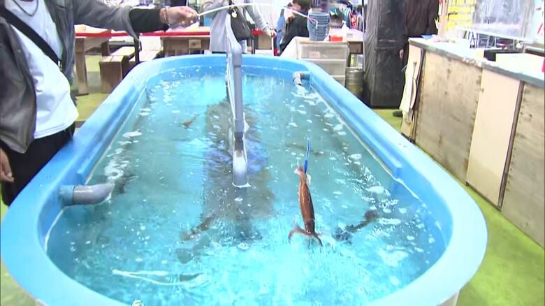 函館の観光名物・イカ釣り