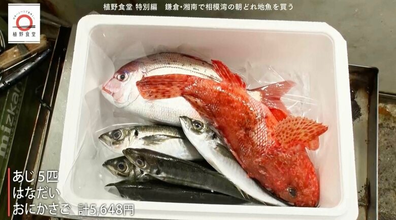 植野さんが購入した地魚