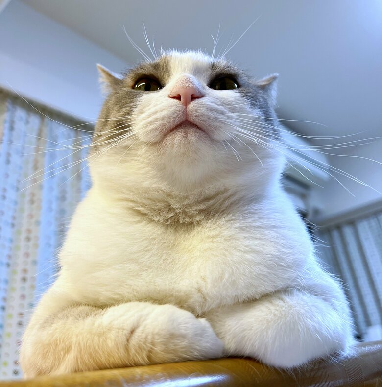 提供：いずもん/まろ様さん