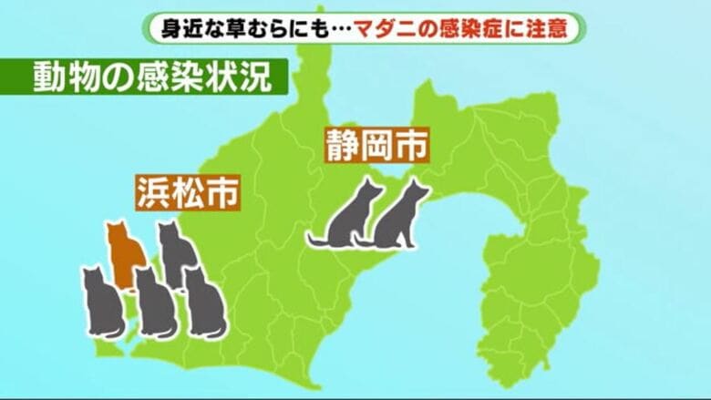 静岡県内ではイヌ2匹、ネコ5匹が感染　ネコ１匹をのぞいて死んだ