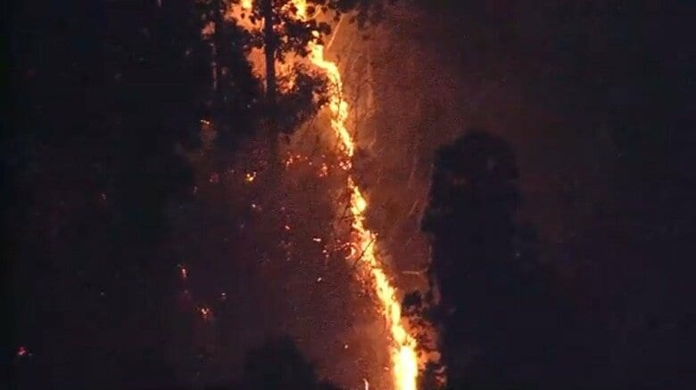 山林火災の様子（岩手・大船渡市　2日午後6時ごろ）