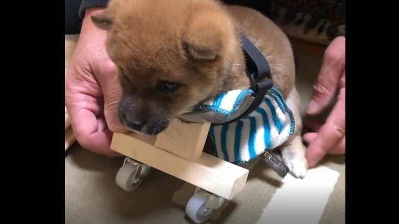 小さな時から補助輪は検討していた