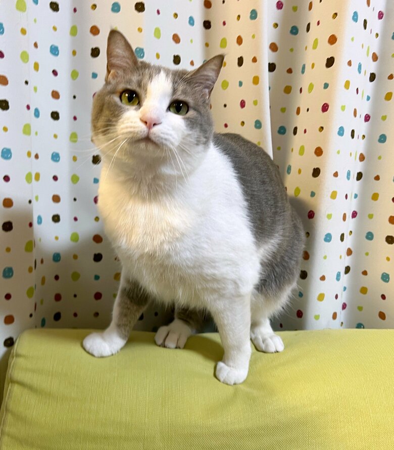 提供：いずもん/まろ様さん