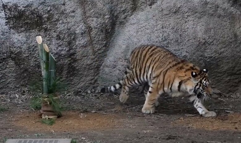 飽きたのか？距離を置く