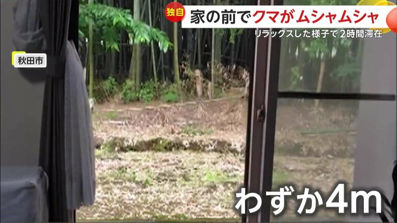 自宅からわずか4ｍほどの場所に現れていたクマ