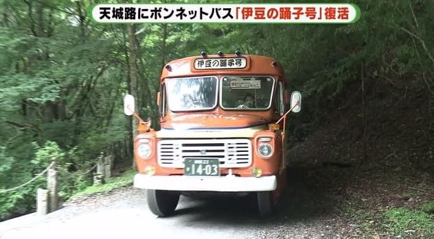 天城路を走る「伊豆の踊子号」