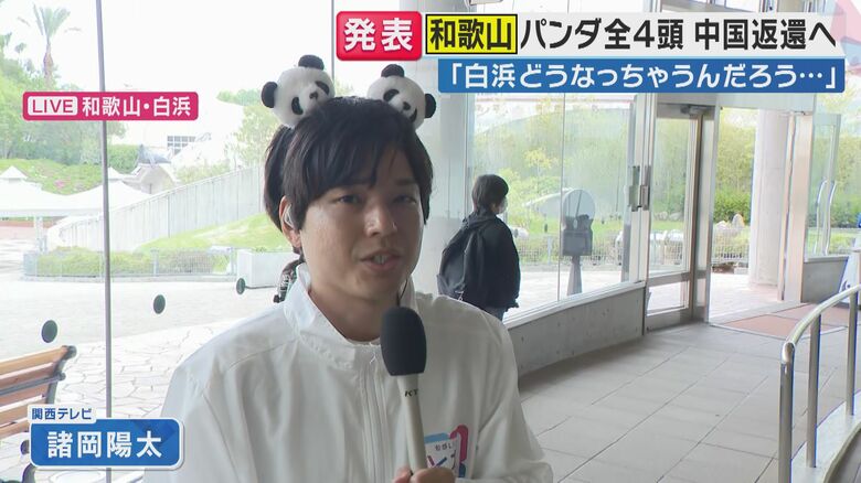 アドベンチャーワールドは今後も飼育を続けられないかと協議中