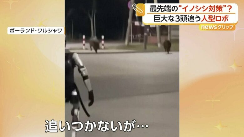 イノシシを追跡して追い払ったロボット（Edward Warchocki）