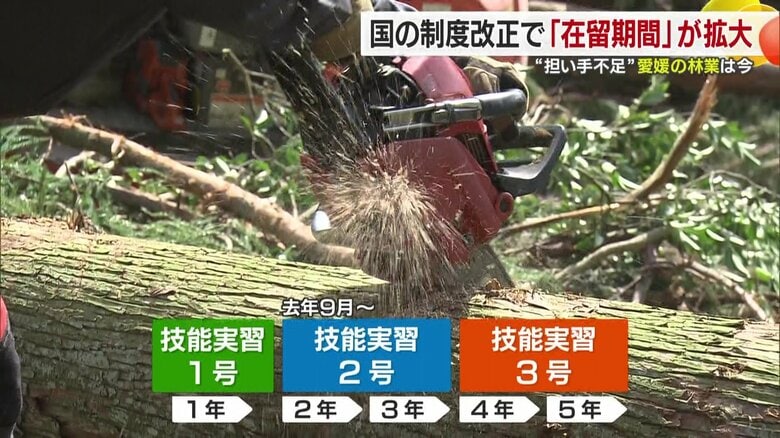 技能実習２号となり、在留期間が２年伸びた