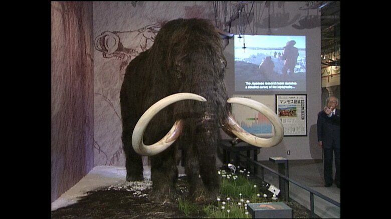 原寸大のマンモスの模型