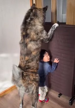 てんてんくんに隠れてうれしそうな快くんをもう一度…