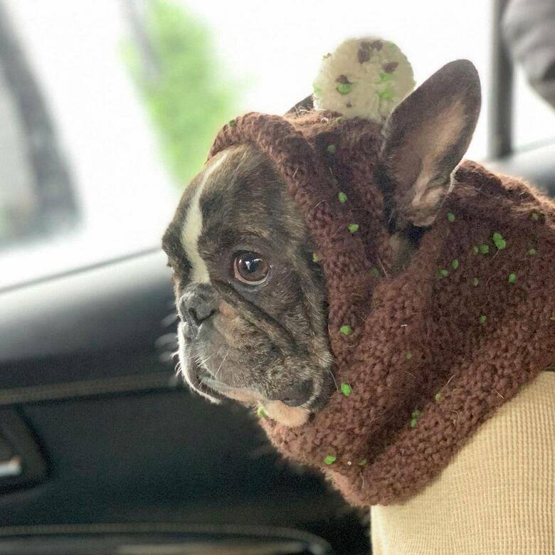 提供：丸男さん