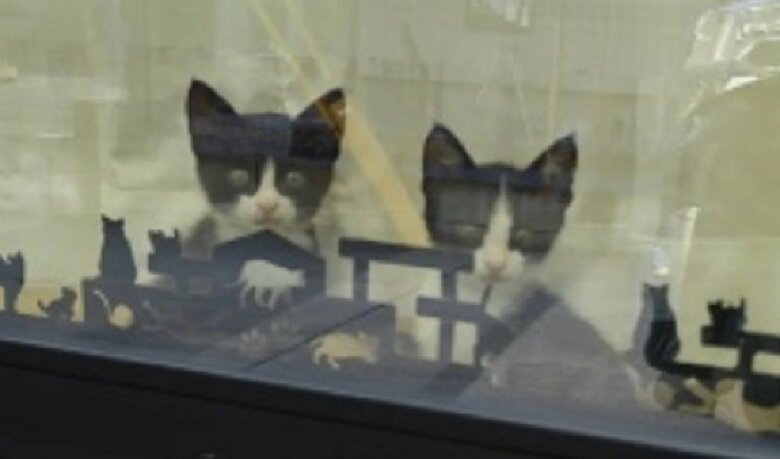 左：リヴァイくん　右：凪くん