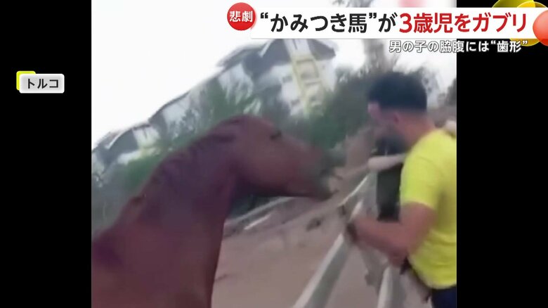 父親に抱かれながら一緒に馬にエサを与えていたオマルくん