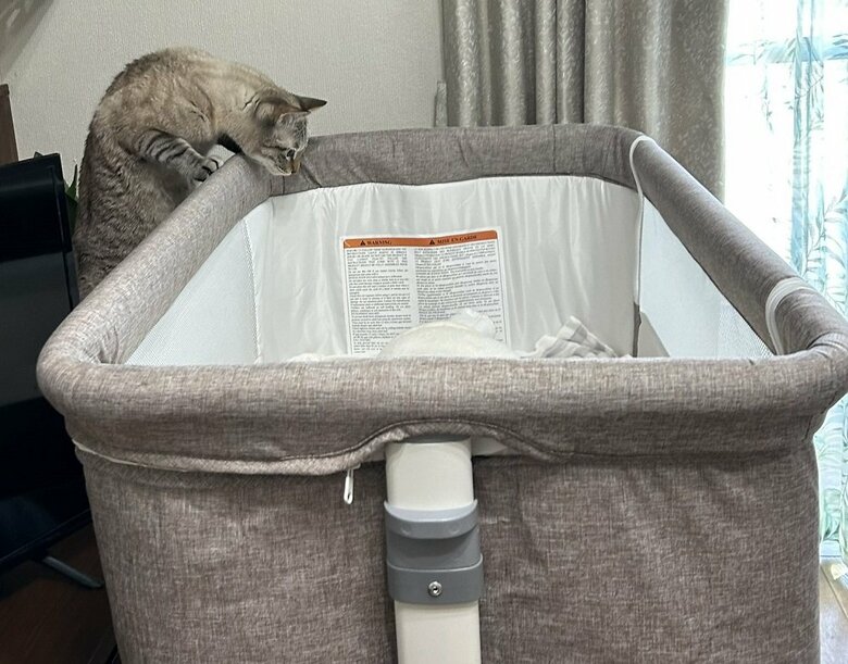 ふくるくんと息子さんの初対面