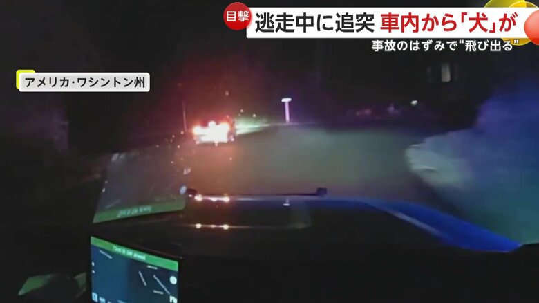 逃走車が衝突し車から犬が投げ出される瞬間（アメリカ・ワシントン州）②