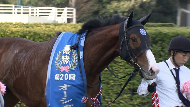 オーシャンSを制したママコチャ