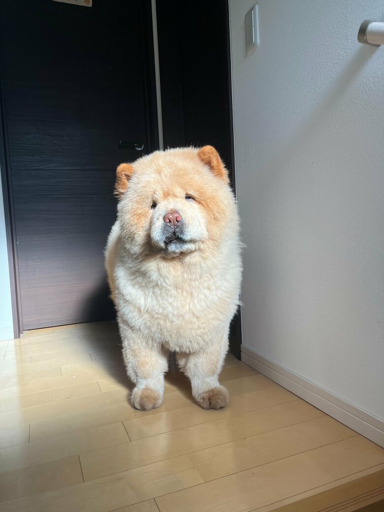 何を訴えたいの？