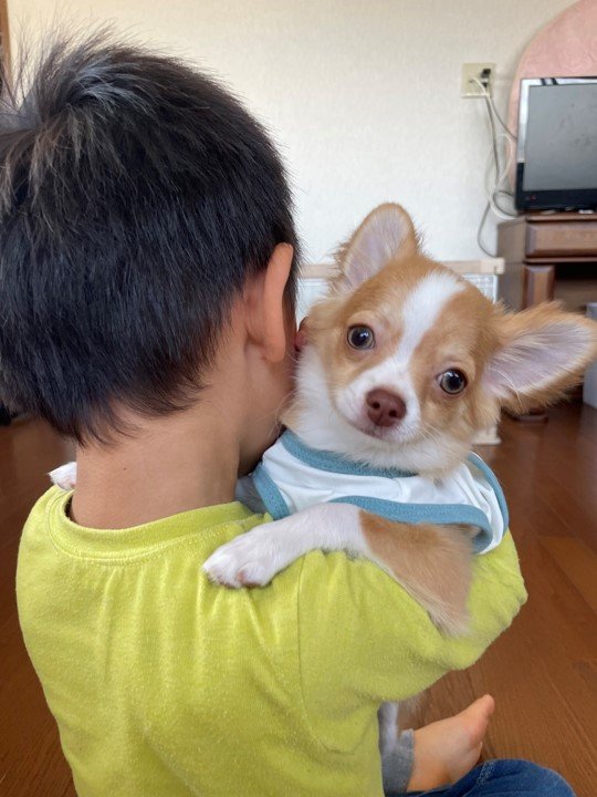 提供：ふくのすけさん