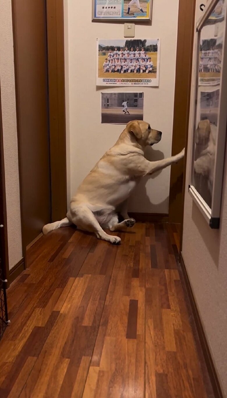 3回目のノック　座ったままカリカリと控えめな起こし方だ