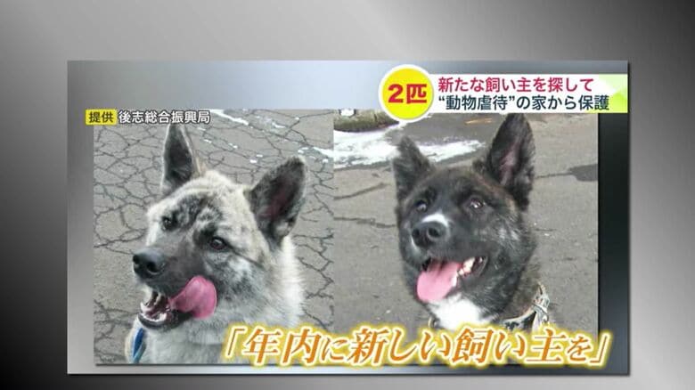 （2023年12月放送のuhb「みんテレ」）