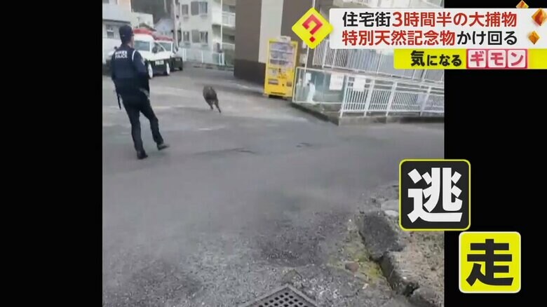 ネットを広げ距離を詰めていくが…