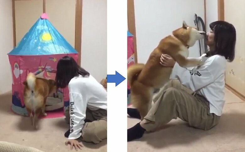 「おうち」をお土産にすると、一通りチェックしてから…熱烈な感謝