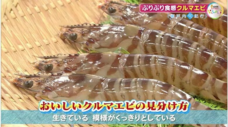 いいクルマエビの見分け方