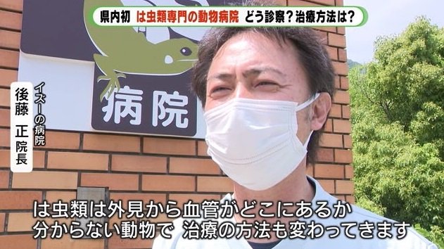 後藤院長「は虫類は扱える動物園が限られる」