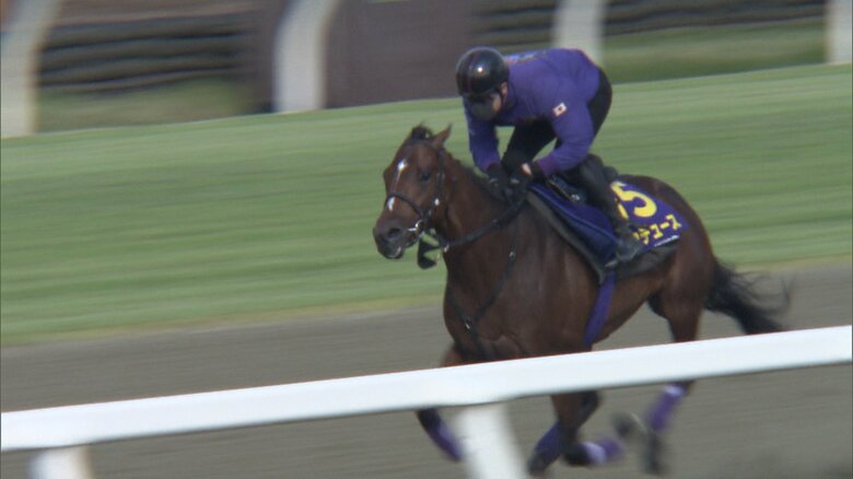 調教中のドウデュース