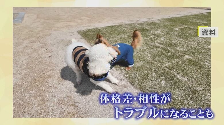 「貸し切り型」でトラブルのリスク回避