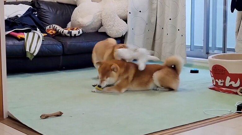 頭上をまたもや通過