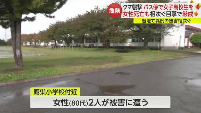 秋田・北秋田市では小学校のすぐ近くにクマが