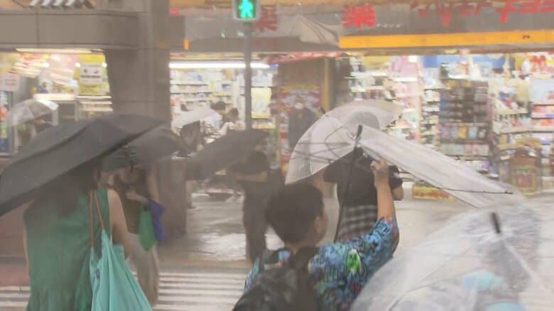 猛暑に加え、ゲリラ雷雨も多発（東京・豊島区　7月24日）