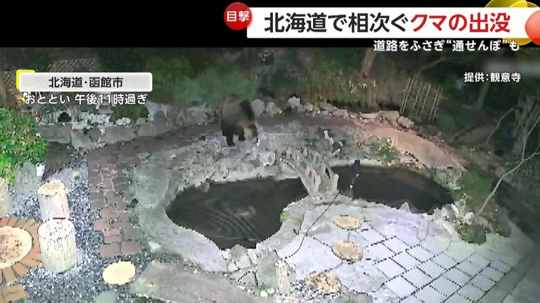寺の境内をうろつくクマ（4日午後11時過ぎ、北海道・函館市）